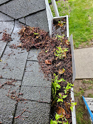 Dirt buid -up in Gutters that needs flushing