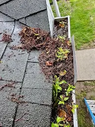 Dirt buid -up in Gutters that needs flushing