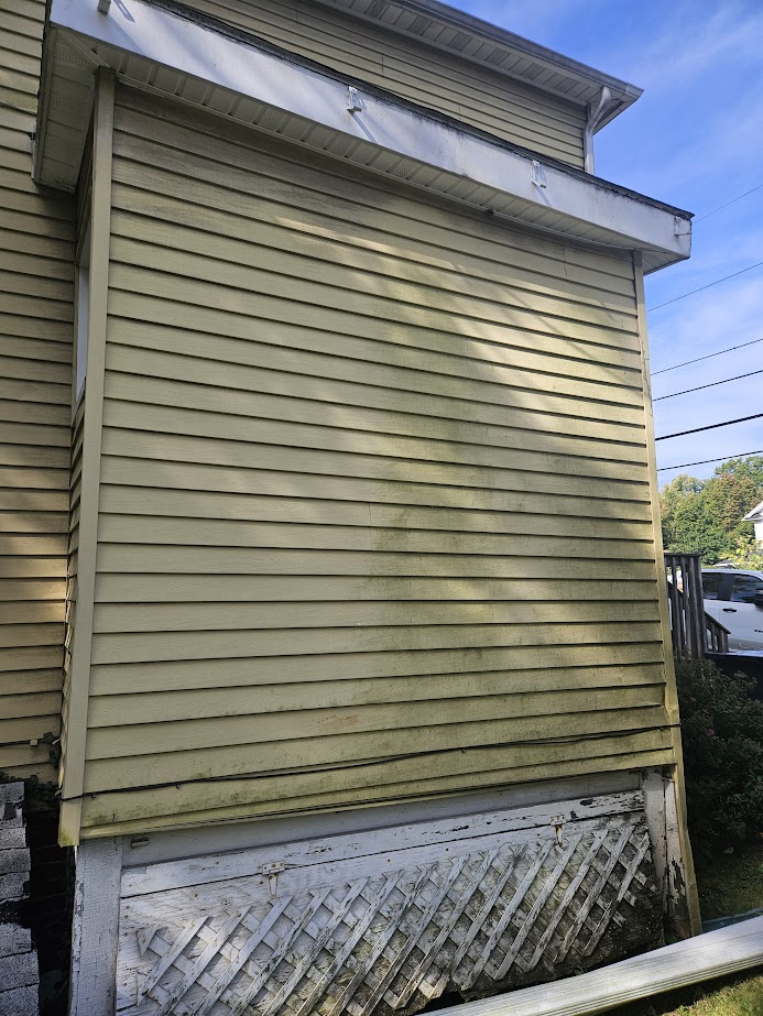 algae build up that needs to be cleaned